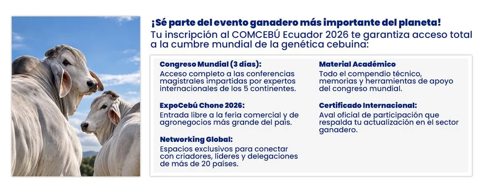 encabezado002 Inicio